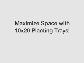 Maximize Space with 10x20 Planting Trays!