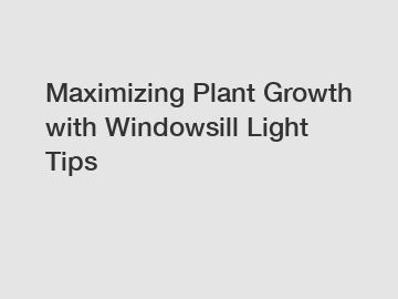 Maximizing Plant Growth with Windowsill Light Tips