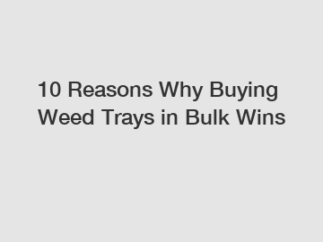 10 Reasons Why Buying Weed Trays in Bulk Wins