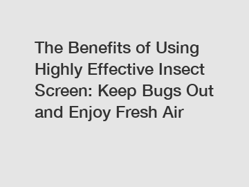 The Benefits of Using Highly Effective Insect Screen: Keep Bugs Out and Enjoy Fresh Air