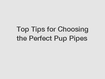 Top Tips for Choosing the Perfect Pup Pipes