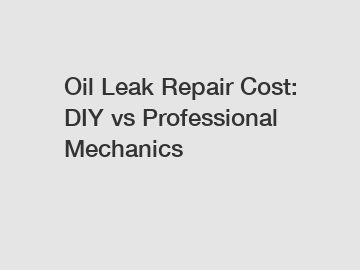 Oil Leak Repair Cost: DIY vs Professional Mechanics
