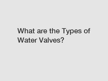 What are the Types of Water Valves?