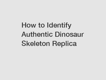 How to Identify Authentic Dinosaur Skeleton Replica