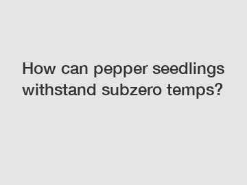 How can pepper seedlings withstand subzero temps?