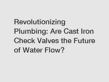 Revolutionizing Plumbing: Are Cast Iron Check Valves the Future of Water Flow?