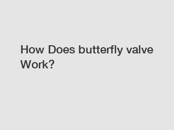 How Does butterfly valve Work?