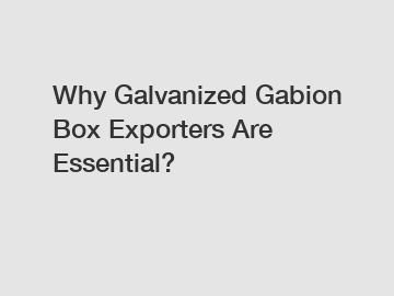Why Galvanized Gabion Box Exporters Are Essential?