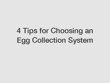 4 Tips for Choosing an Egg Collection System