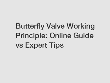 Butterfly Valve Working Principle: Online Guide vs Expert Tips