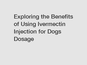 Exploring the Benefits of Using Ivermectin Injection for Dogs Dosage