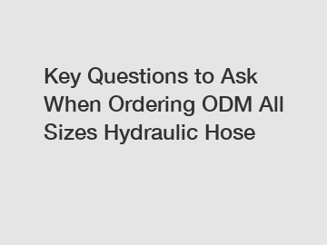 Key Questions to Ask When Ordering ODM All Sizes Hydraulic Hose