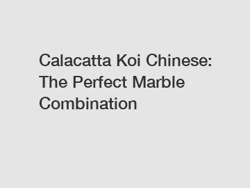 Calacatta Koi Chinese: The Perfect Marble Combination