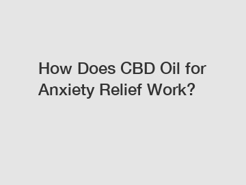 How Does CBD Oil for Anxiety Relief Work?