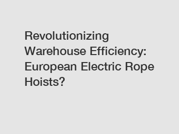 Revolutionizing Warehouse Efficiency: European Electric Rope Hoists?