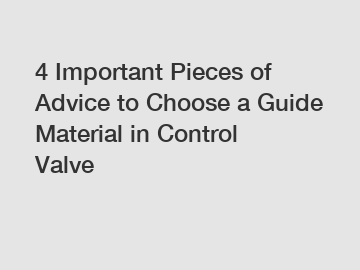 4 Important Pieces of Advice to Choose a Guide Material in Control Valve