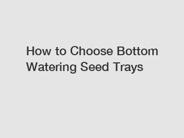 How to Choose Bottom Watering Seed Trays