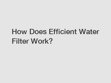 How Does Efficient Water Filter Work?