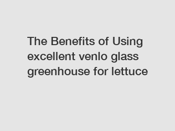 The Benefits of Using excellent venlo glass greenhouse for lettuce