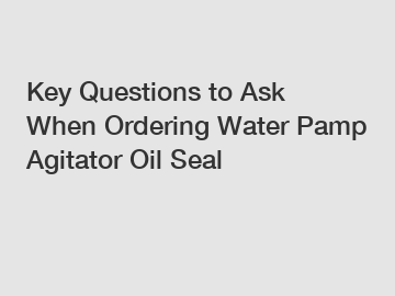 Key Questions to Ask When Ordering Water Pamp Agitator Oil Seal