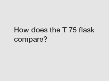 How does the T 75 flask compare?