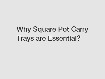 Why Square Pot Carry Trays are Essential?