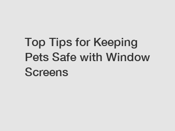 Top Tips for Keeping Pets Safe with Window Screens