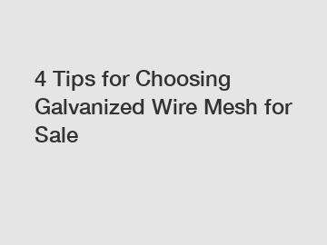 4 Tips for Choosing Galvanized Wire Mesh for Sale