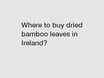 Where to buy dried bamboo leaves in Ireland?