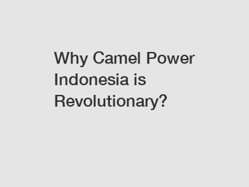 Why Camel Power Indonesia is Revolutionary?