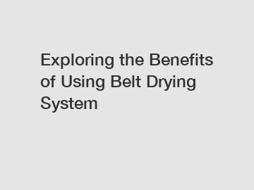 Exploring the Benefits of Using Belt Drying System
