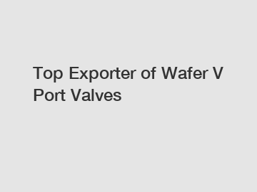 Top Exporter of Wafer V Port Valves