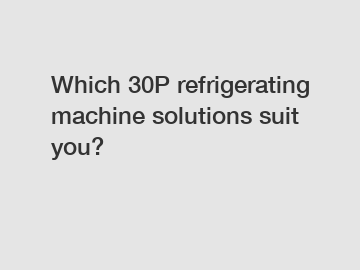 Which 30P refrigerating machine solutions suit you?