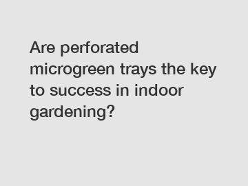 Are perforated microgreen trays the key to success in indoor gardening?