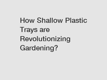 How Shallow Plastic Trays are Revolutionizing Gardening?