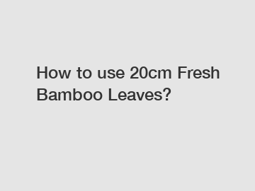How to use 20cm Fresh Bamboo Leaves?