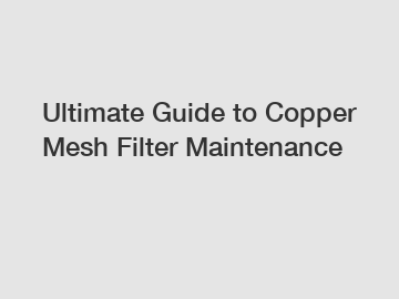 Ultimate Guide to Copper Mesh Filter Maintenance