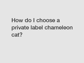 How do I choose a private label chameleon cat?