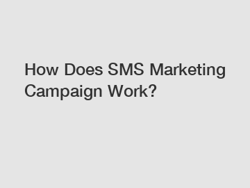 How Does SMS Marketing Campaign Work?