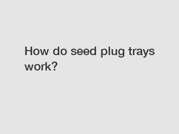 How do seed plug trays work?