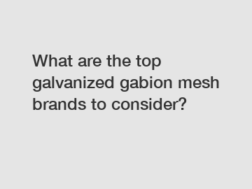 What are the top galvanized gabion mesh brands to consider?