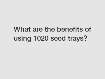 What are the benefits of using 1020 seed trays? What are the benefits of using 1020 seed trays?