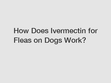 How Does Ivermectin for Fleas on Dogs Work?