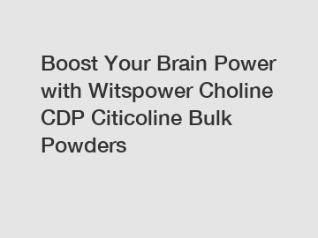 Boost Your Brain Power with Witspower Choline CDP Citicoline Bulk Powders