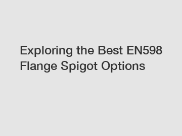 Exploring the Best EN598 Flange Spigot Options