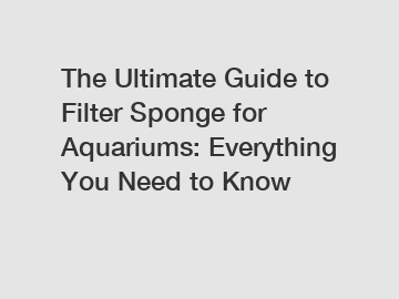 The Ultimate Guide to Filter Sponge for Aquariums: Everything You Need to Know