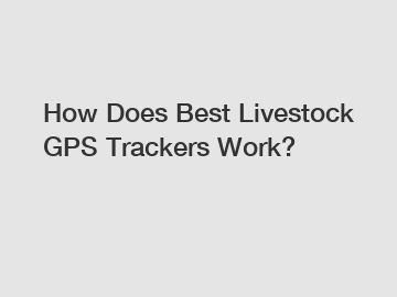 How Does Best Livestock GPS Trackers Work?