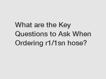 What are the Key Questions to Ask When Ordering r1/1sn hose?