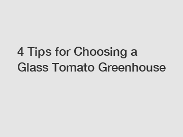 4 Tips for Choosing a Glass Tomato Greenhouse