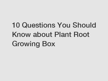 10 Questions You Should Know about Plant Root Growing Box